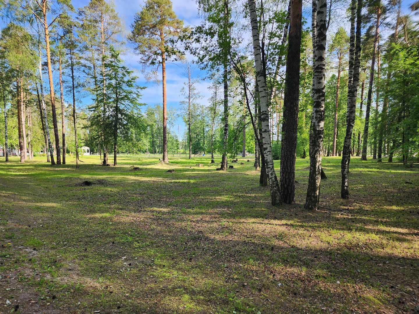 парки подмосковья, шатурский парк, благоустройство 2025, шатура,