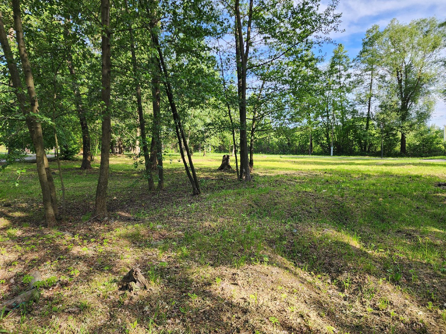 парки подмосковья, шатурский парк, благоустройство 2025, шатура,