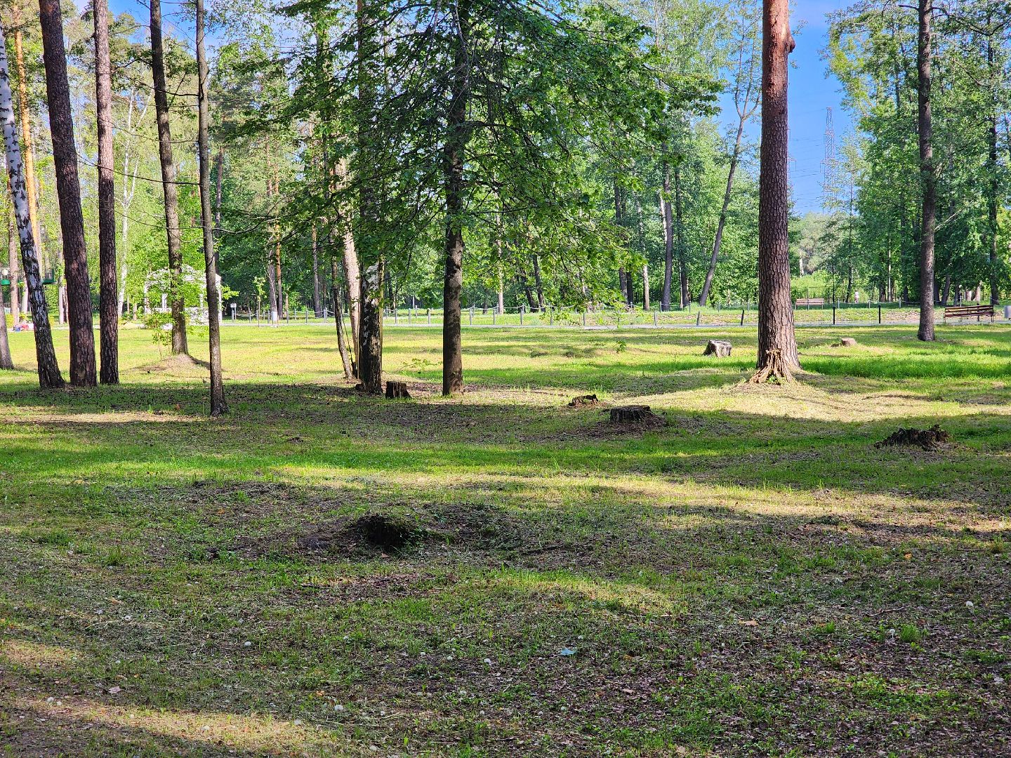 парки подмосковья, шатурский парк, благоустройство 2025, шатура,