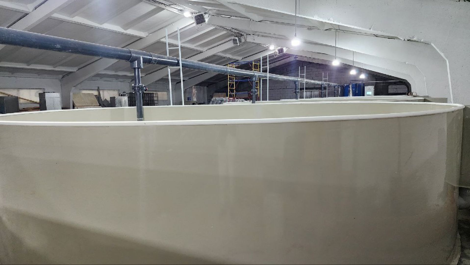 Луховицы #Подмосковье #Аквакультура #Осетр , СельскоеХозяйствоПодмосковья #НовыеРабочиеМеста #АгроТуризм,