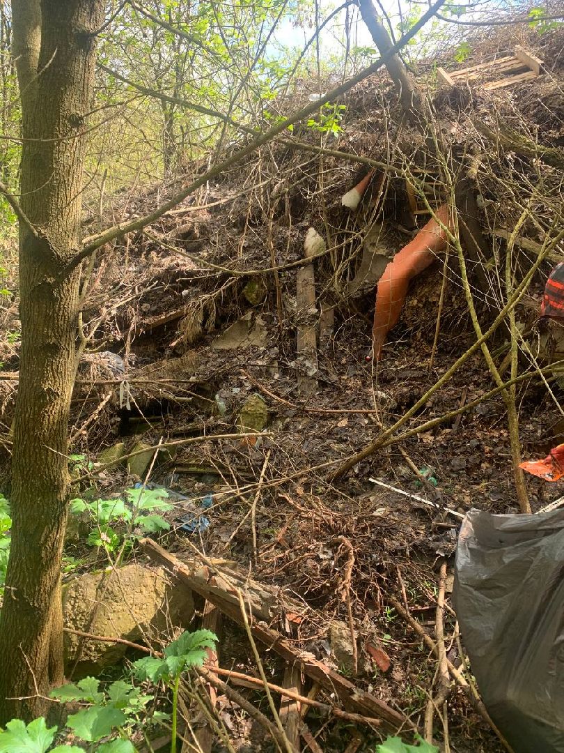 Звенигород, экосубботники, очистка Москвы-реки, Старый Звенигород