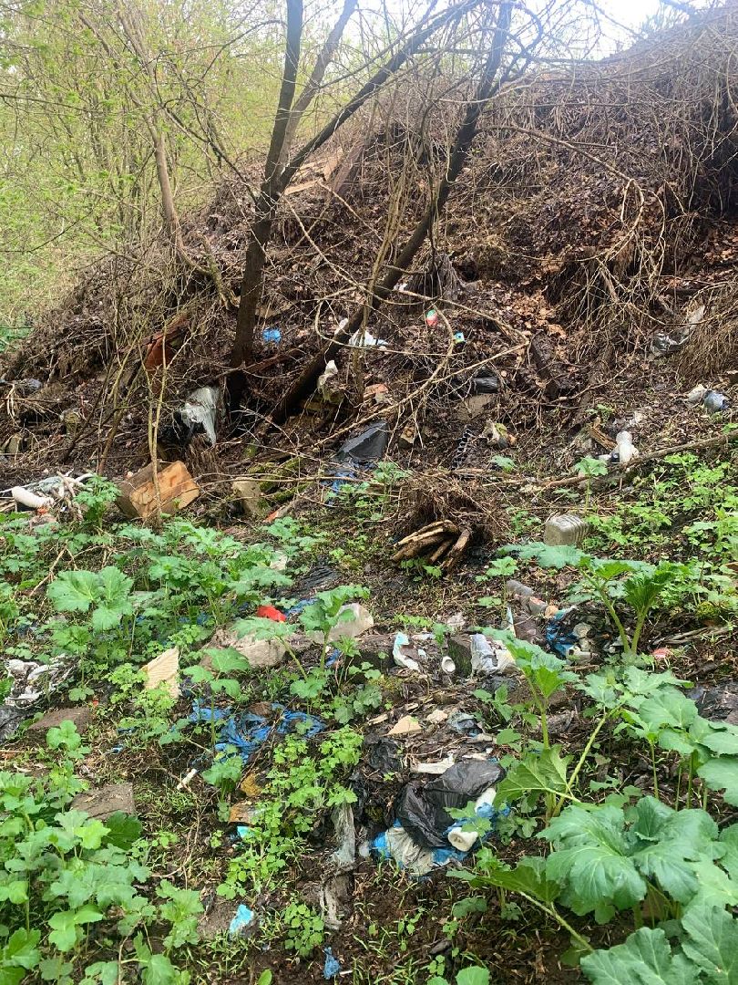 Звенигород, экосубботники, очистка Москвы-реки, Старый Звенигород