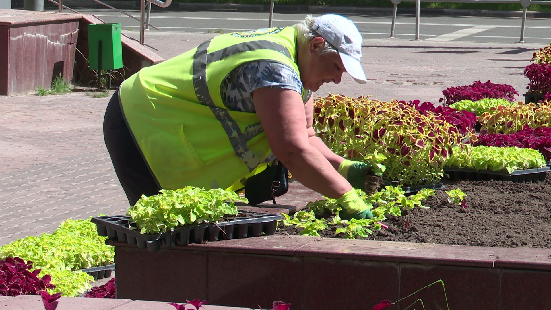 реутов, цветы, благоустройство, высадка цветов, клумбы,