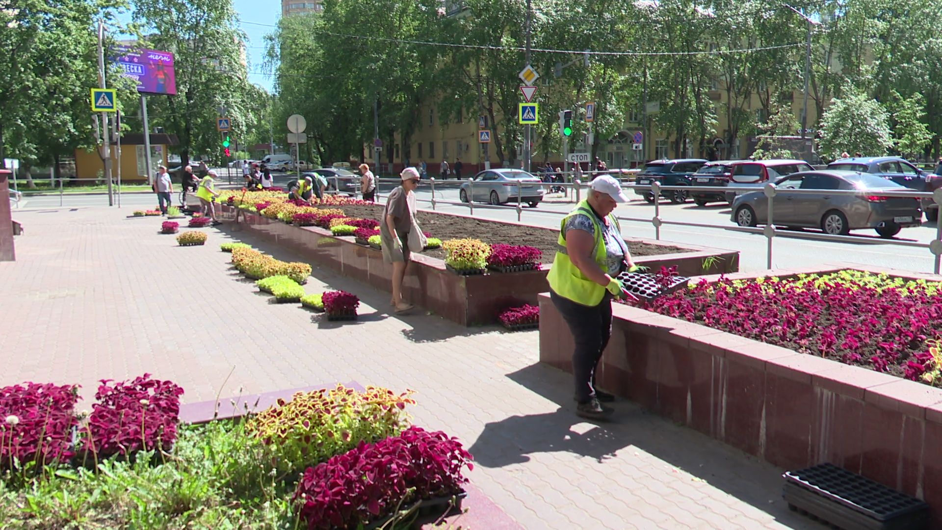 реутов, цветы, благоустройство, высадка цветов, клумбы,