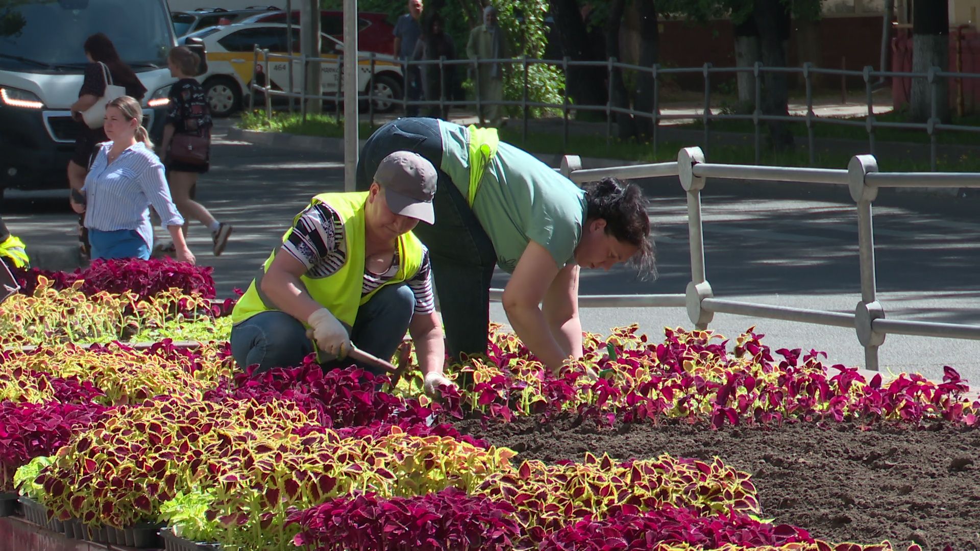 реутов, цветы, благоустройство, высадка цветов, клумбы,