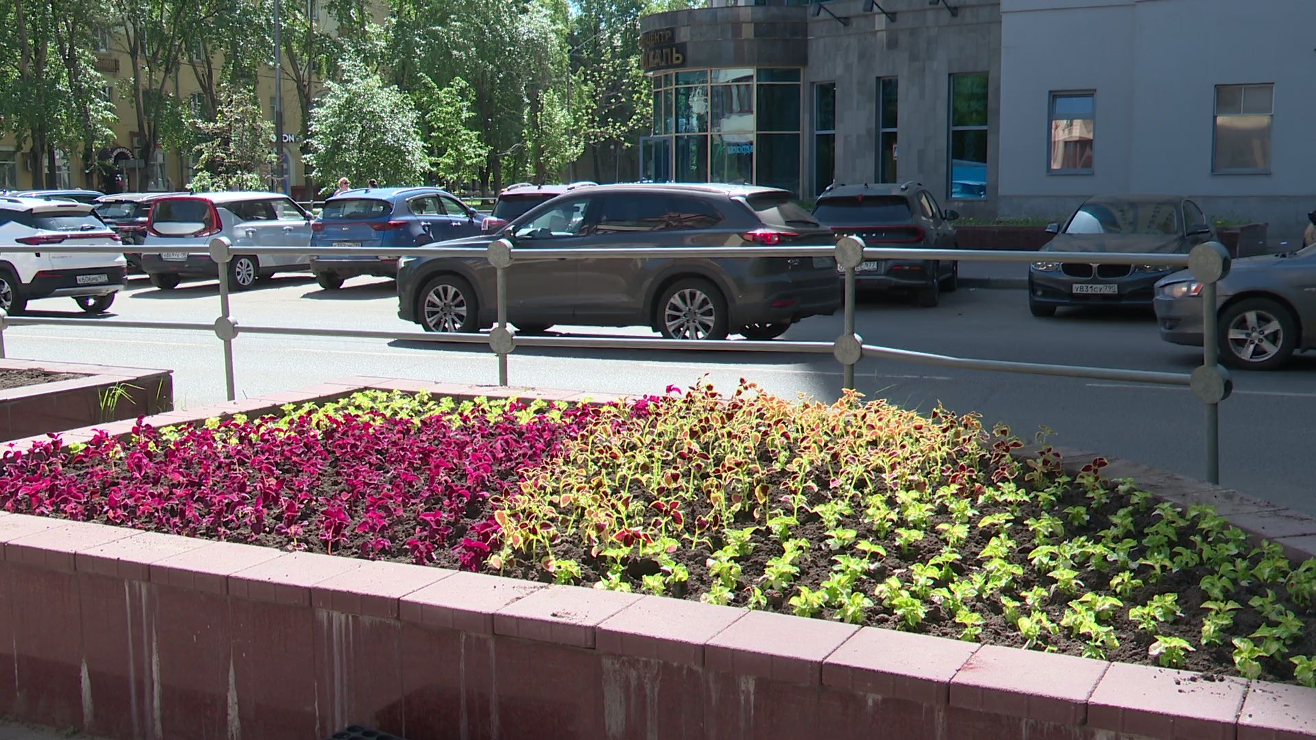 реутов, цветы, благоустройство, высадка цветов, клумбы,