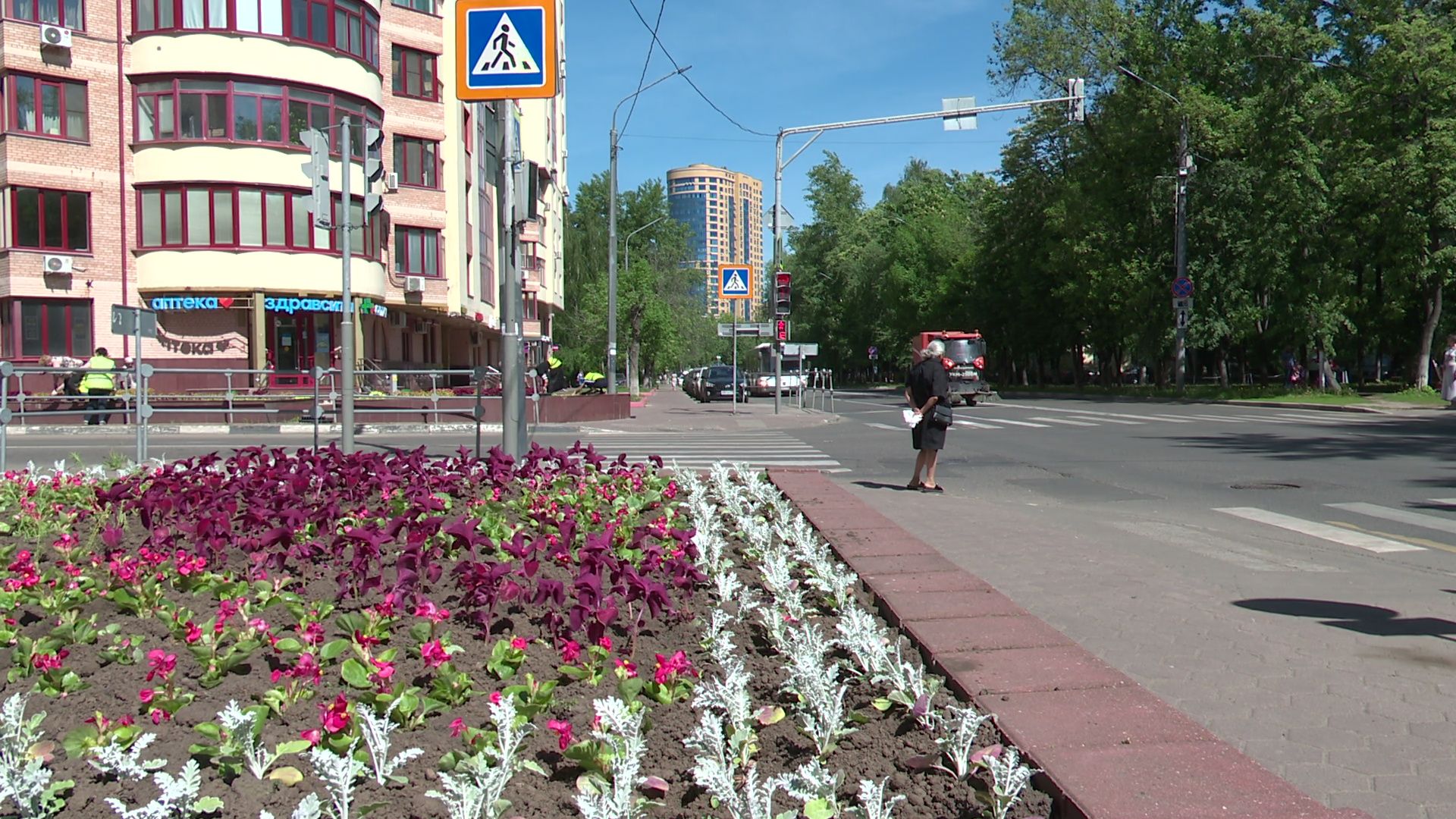 реутов, цветы, благоустройство, высадка цветов, клумбы,