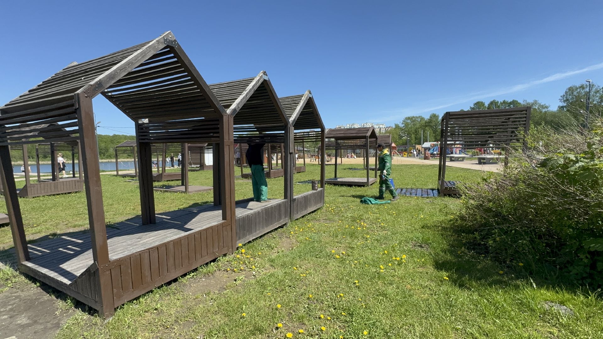 солнечногорск, летний сезон, порядок, цветы, жители,