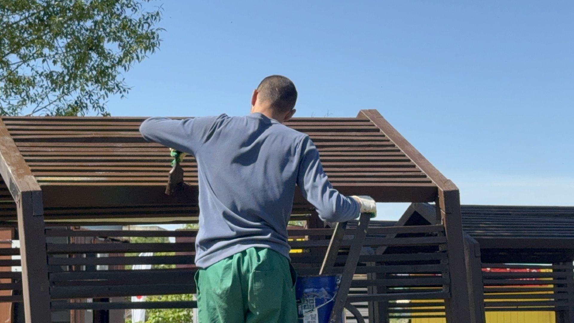 солнечногорск, летний сезон, порядок, цветы, жители,