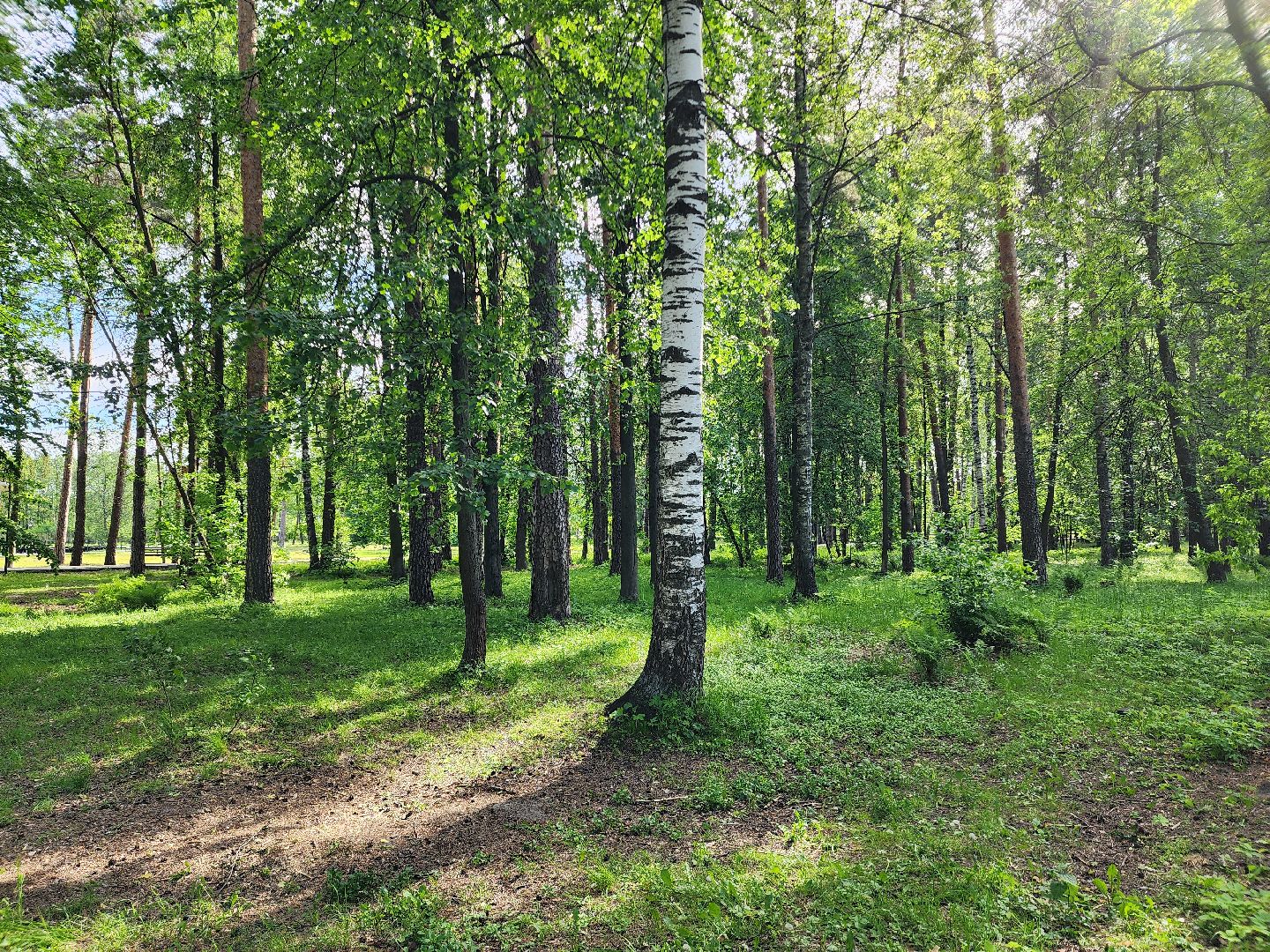 шатурская больница, медицина подмосковья, сезон клещей,