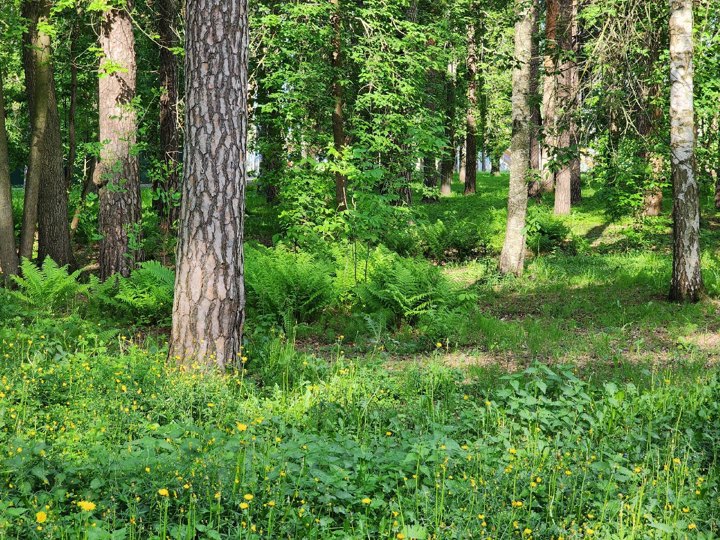 шатурская больница, медицина подмосковья, сезон клещей,