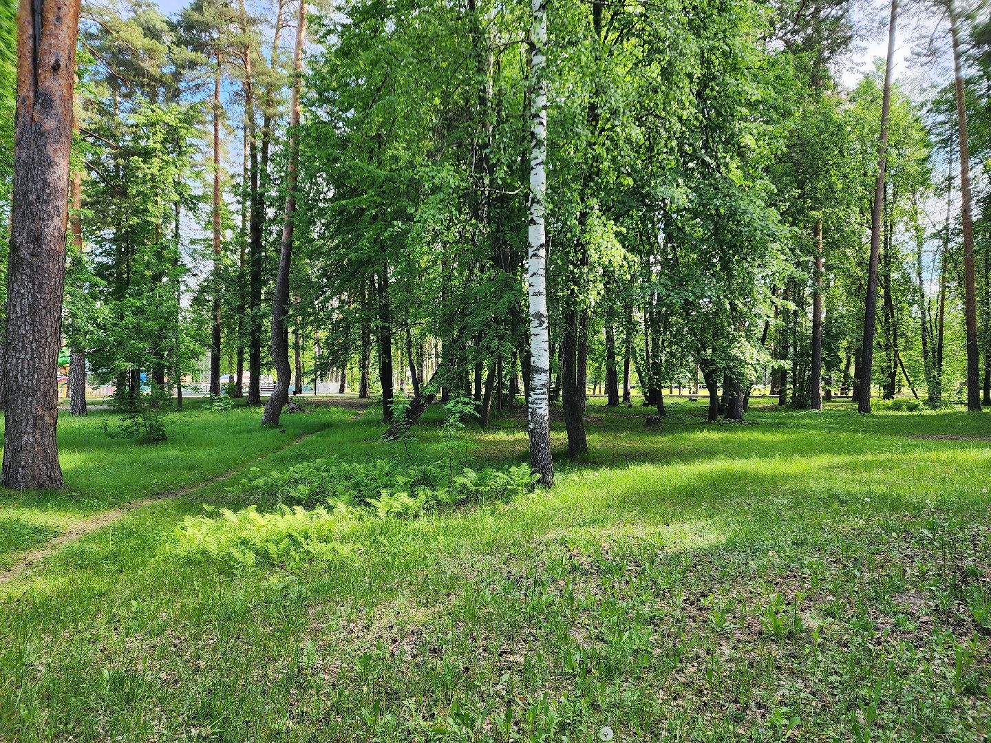 шатурская больница, медицина подмосковья, сезон клещей,