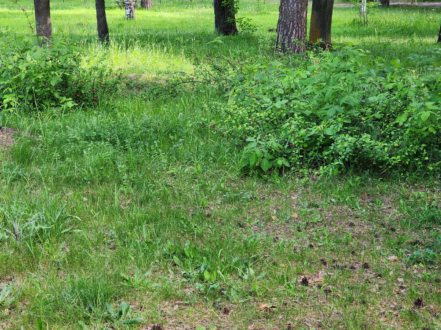 шатурская больница, медицина подмосковья, сезон клещей,