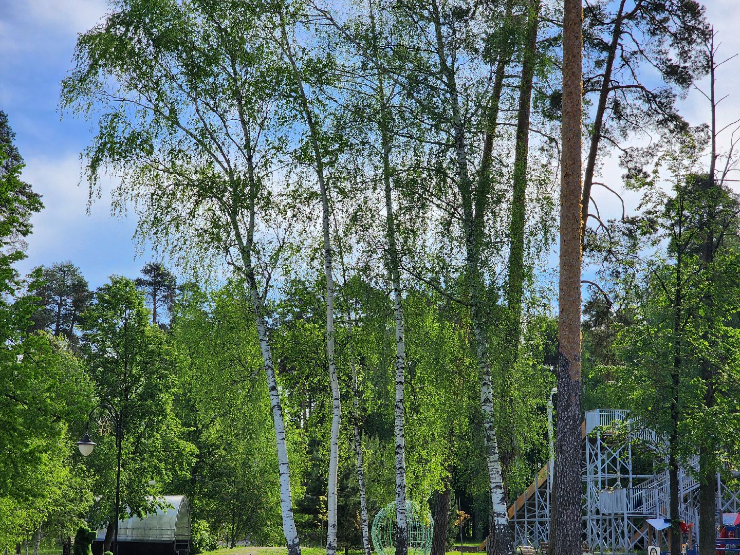 шатурская больница, медицина подмосковья, сезон клещей,