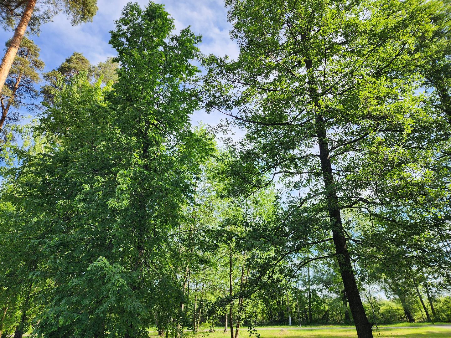 шатурская больница, медицина подмосковья, сезон клещей,