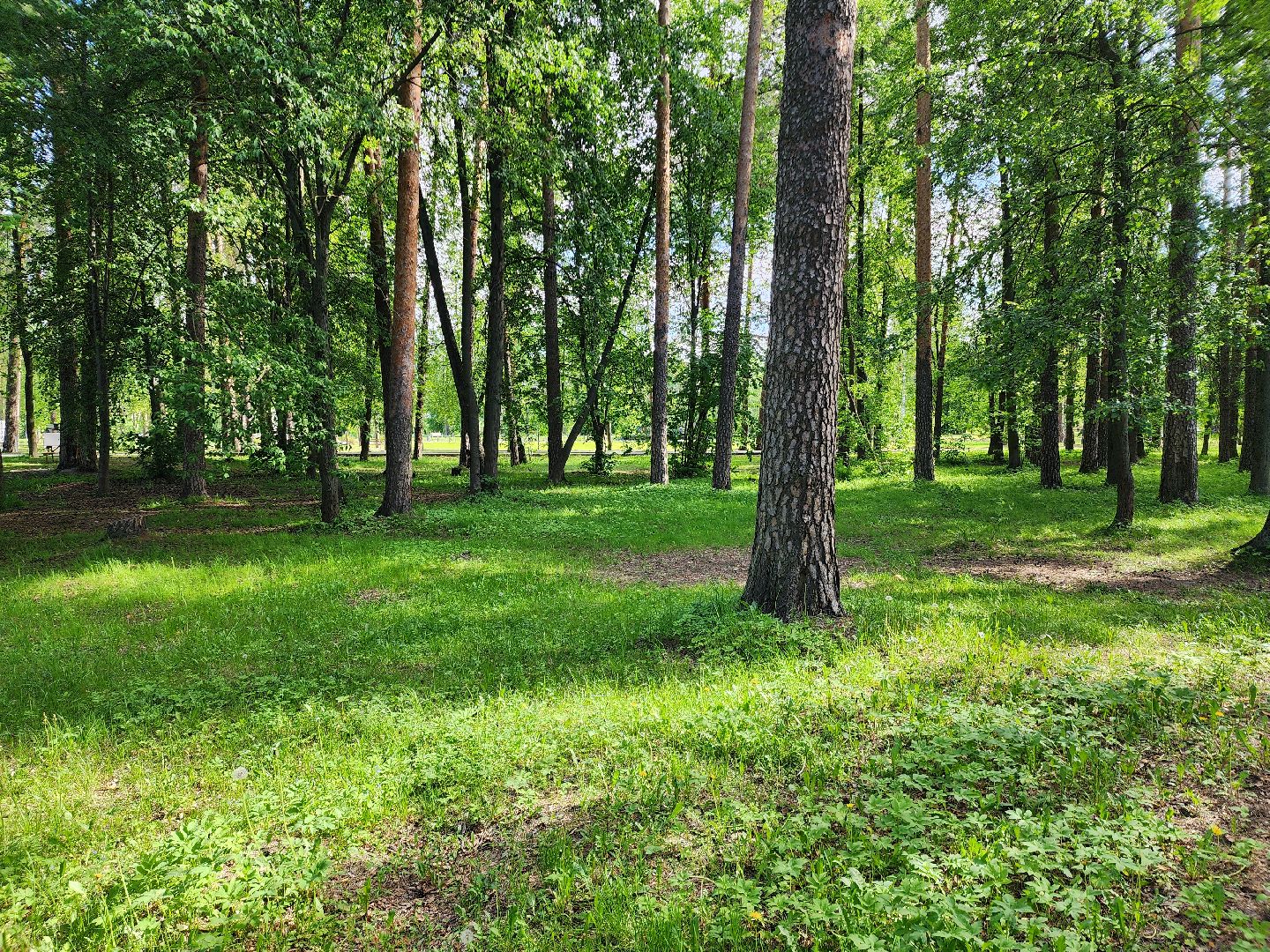 шатурская больница, медицина подмосковья, сезон клещей,