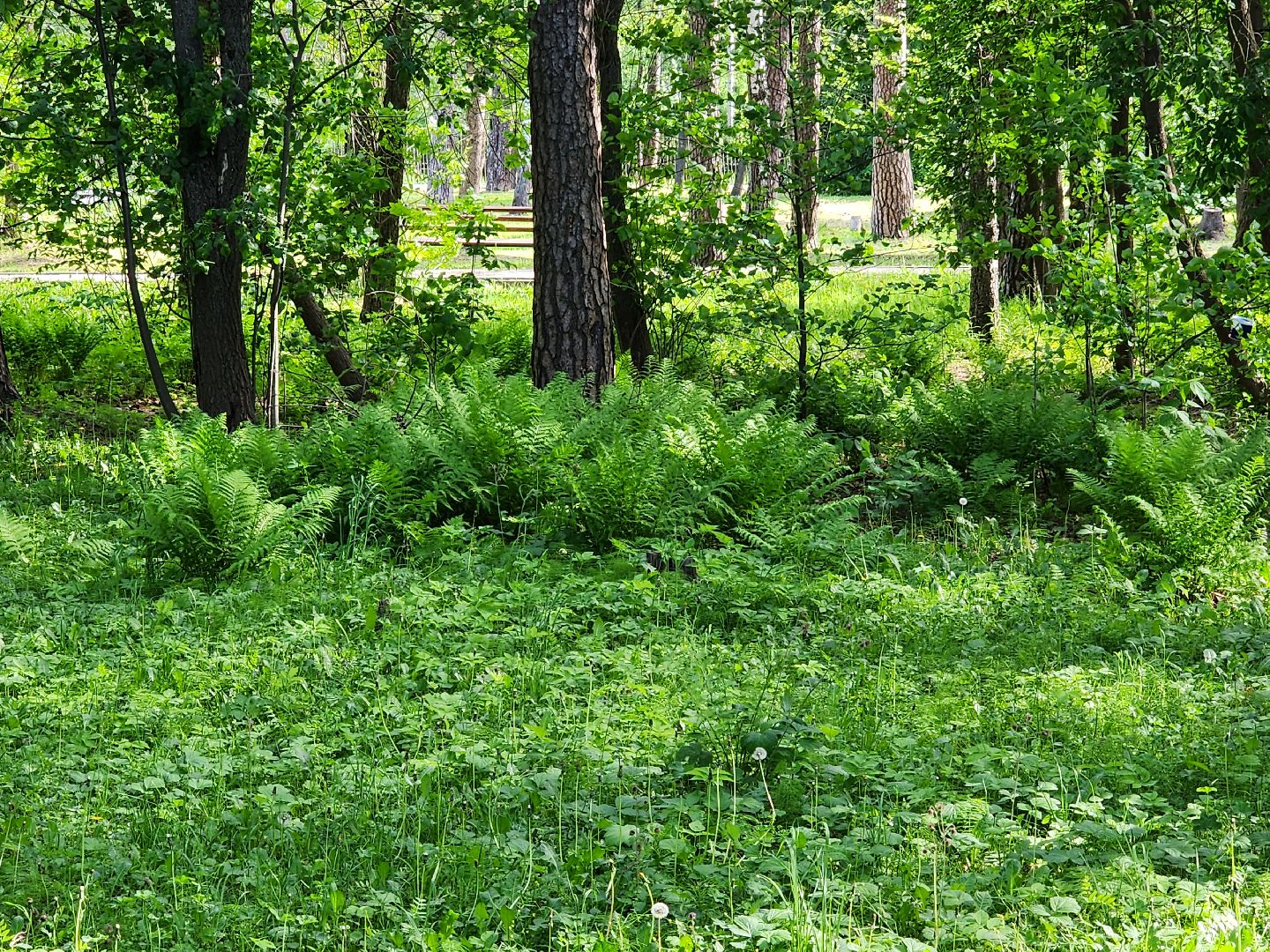 шатурская больница, медицина подмосковья, сезон клещей,
