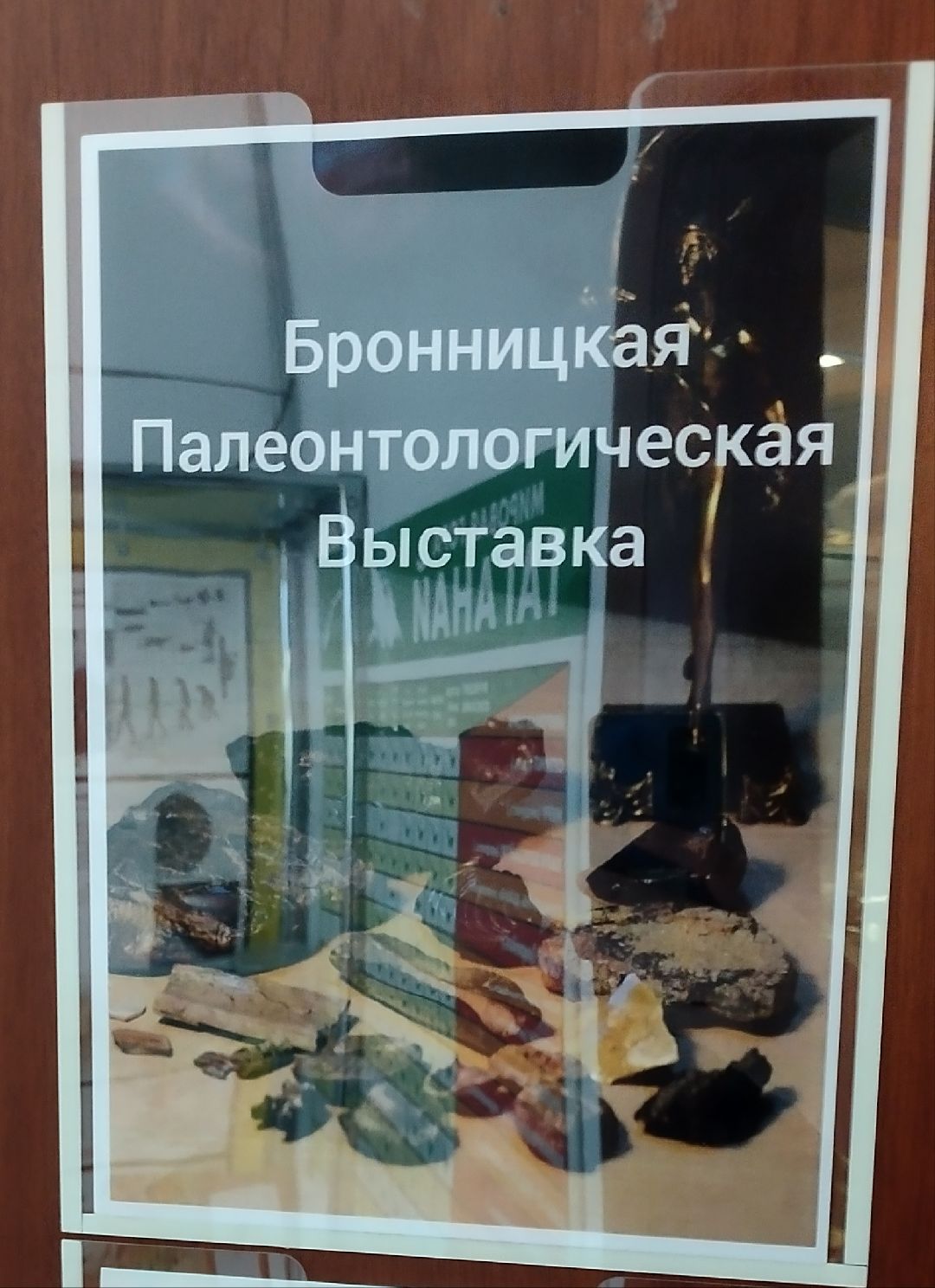 Палеонтолог, Бронницы, Музей