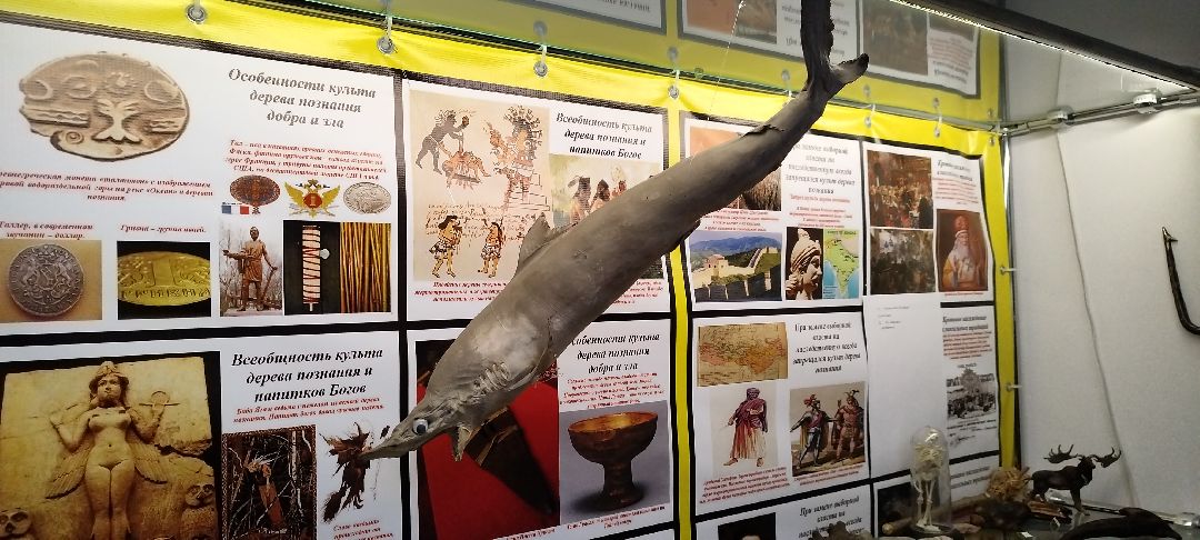 Палеонтолог, Бронницы, Музей