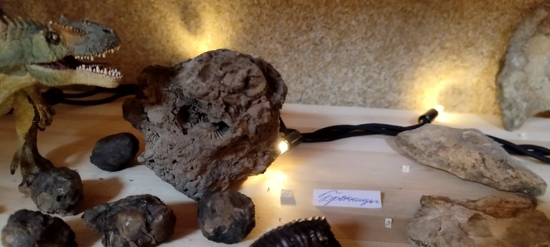 Палеонтолог, Бронницы, Музей