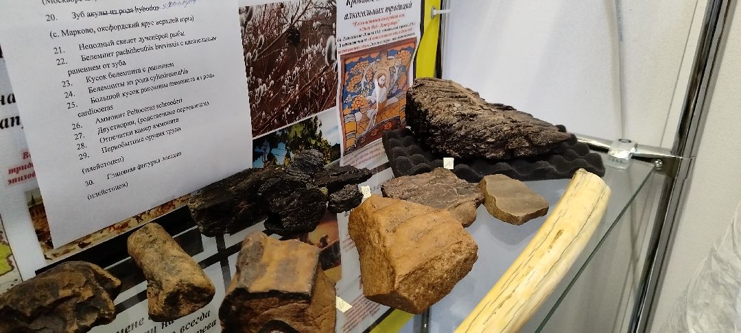 Палеонтолог, Бронницы, Музей