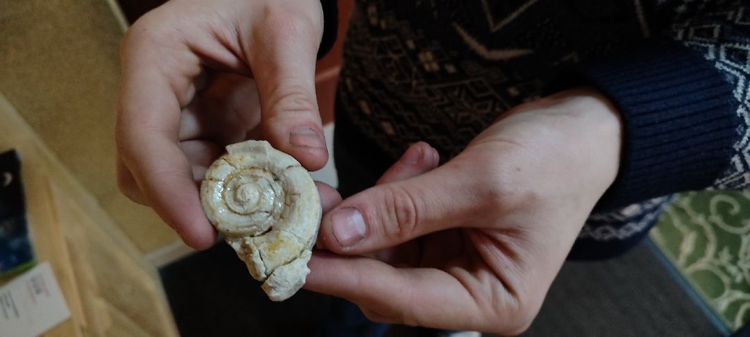 Палеонтолог, Бронницы, Музей