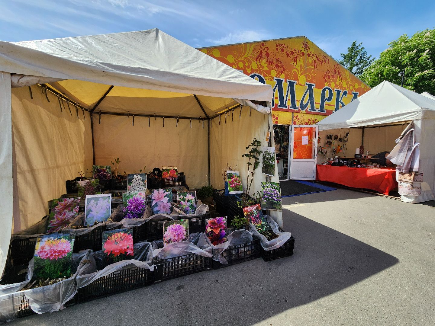 мытищи, ярмарка,