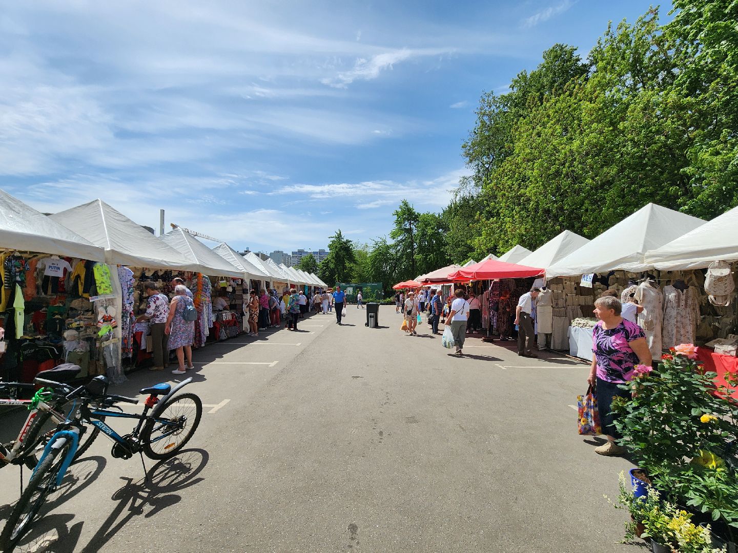 мытищи, ярмарка,