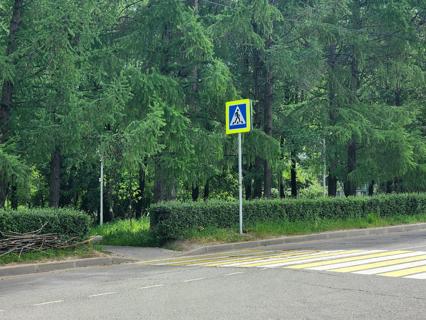 пущино, серпухов, дороги, безопасность дорожного движения,