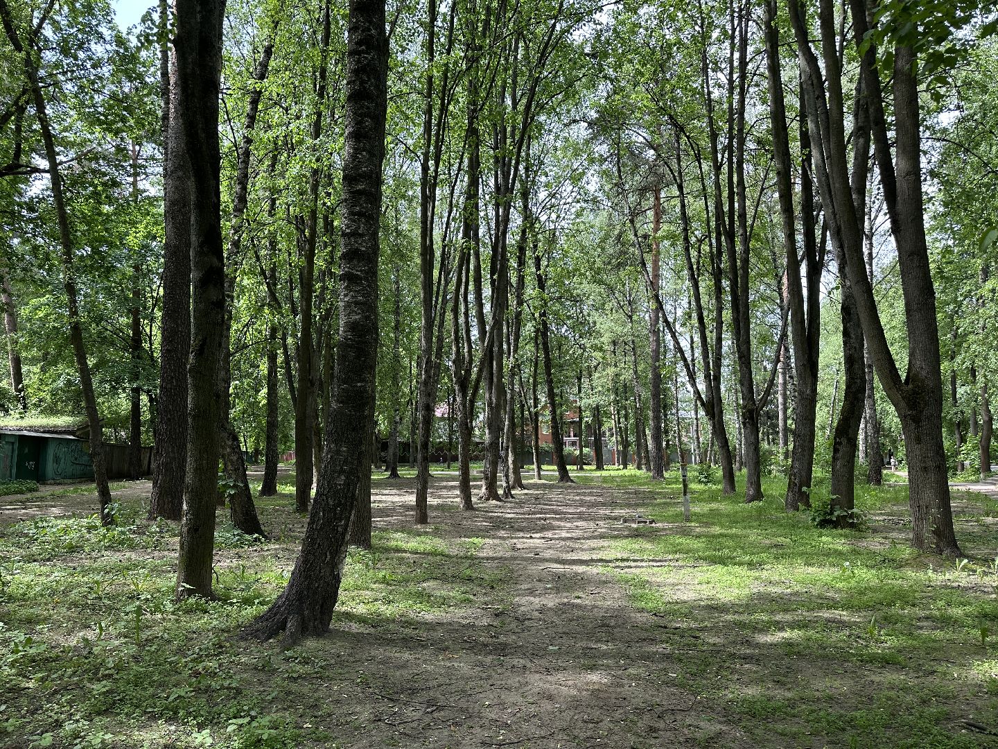 благоустройство, комфортная городская среда, госуслуги, голосование за благоустройство территорий раменск,