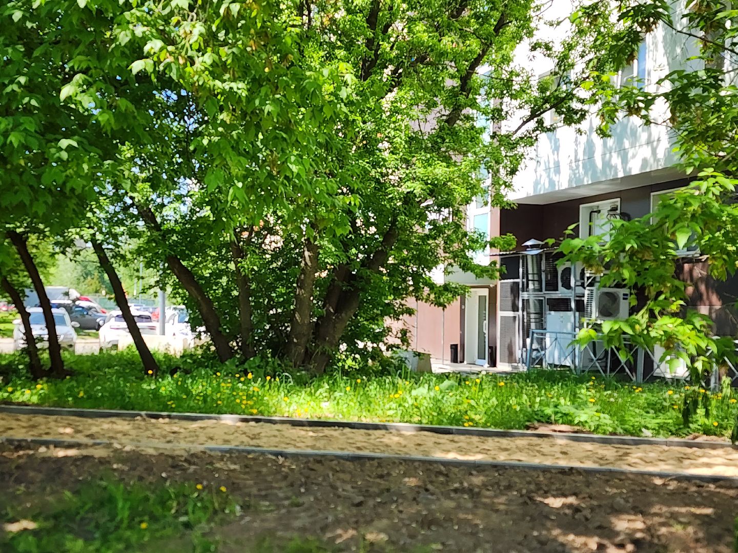 королёв, благоустройство народных троп, программа пешком,