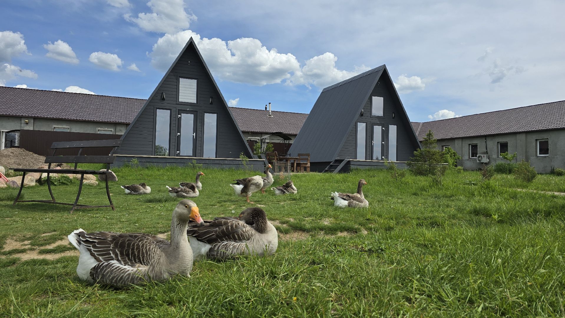 Коломна, экотуризм, крокодиловая ферма,экзотические животные,