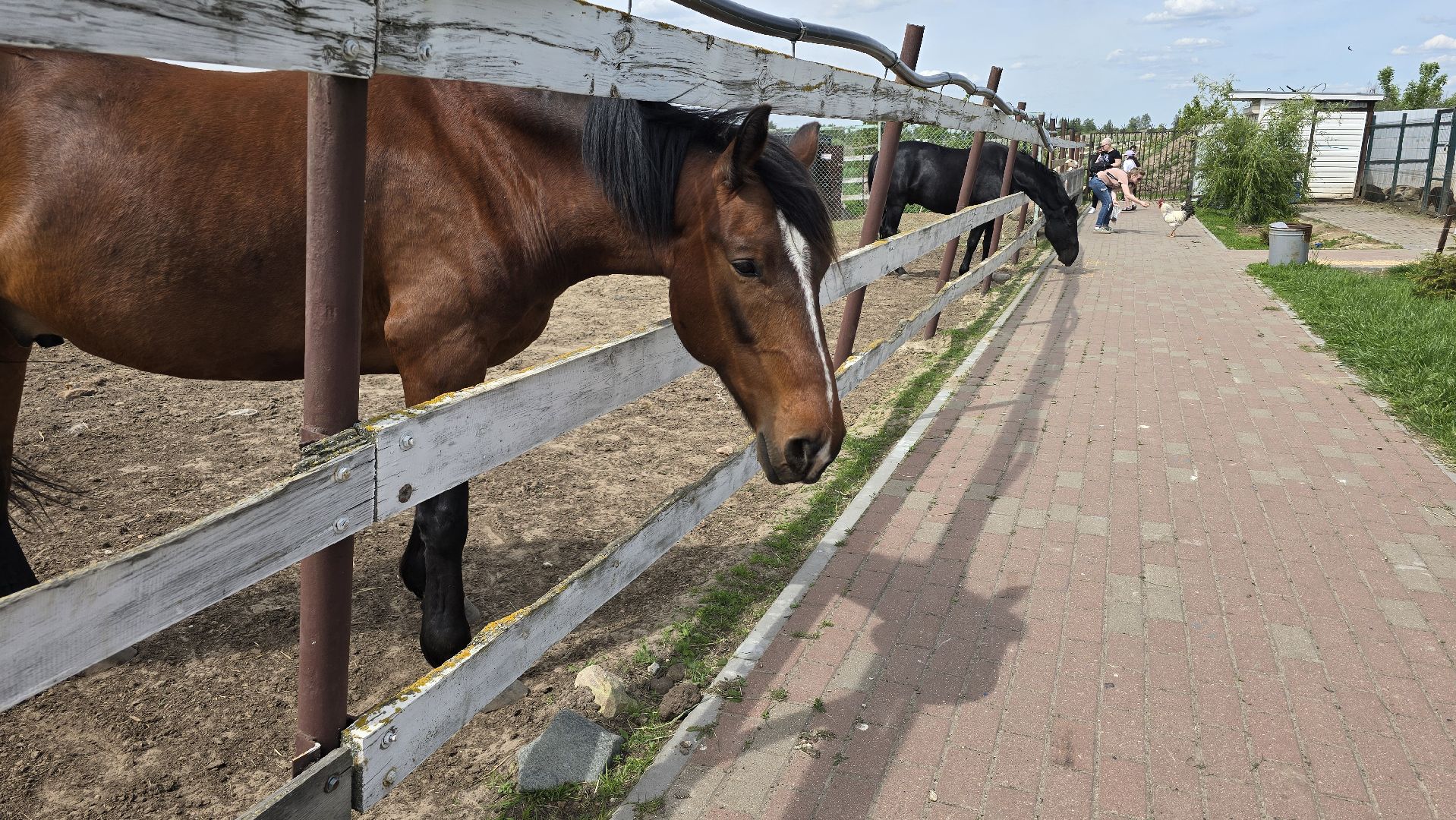 Коломна, экотуризм, крокодиловая ферма,экзотические животные,