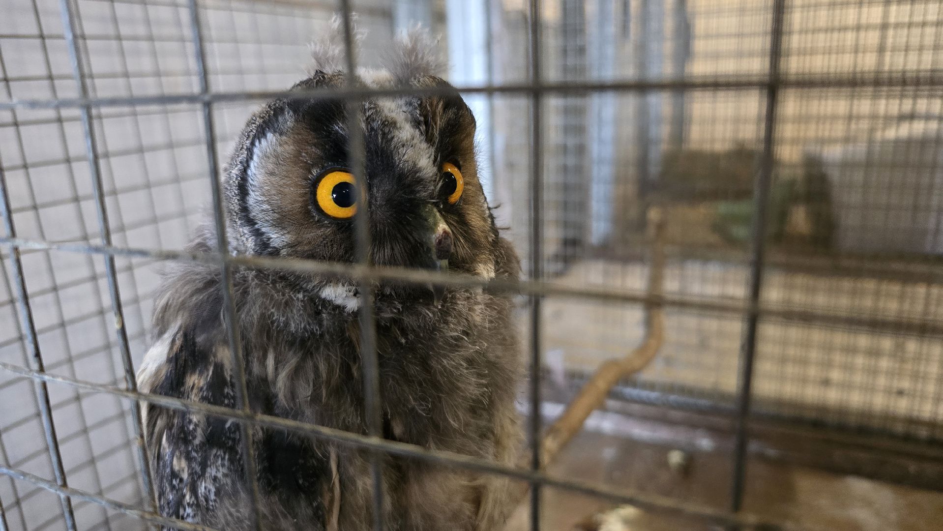 Коломна, экотуризм, крокодиловая ферма,экзотические животные,