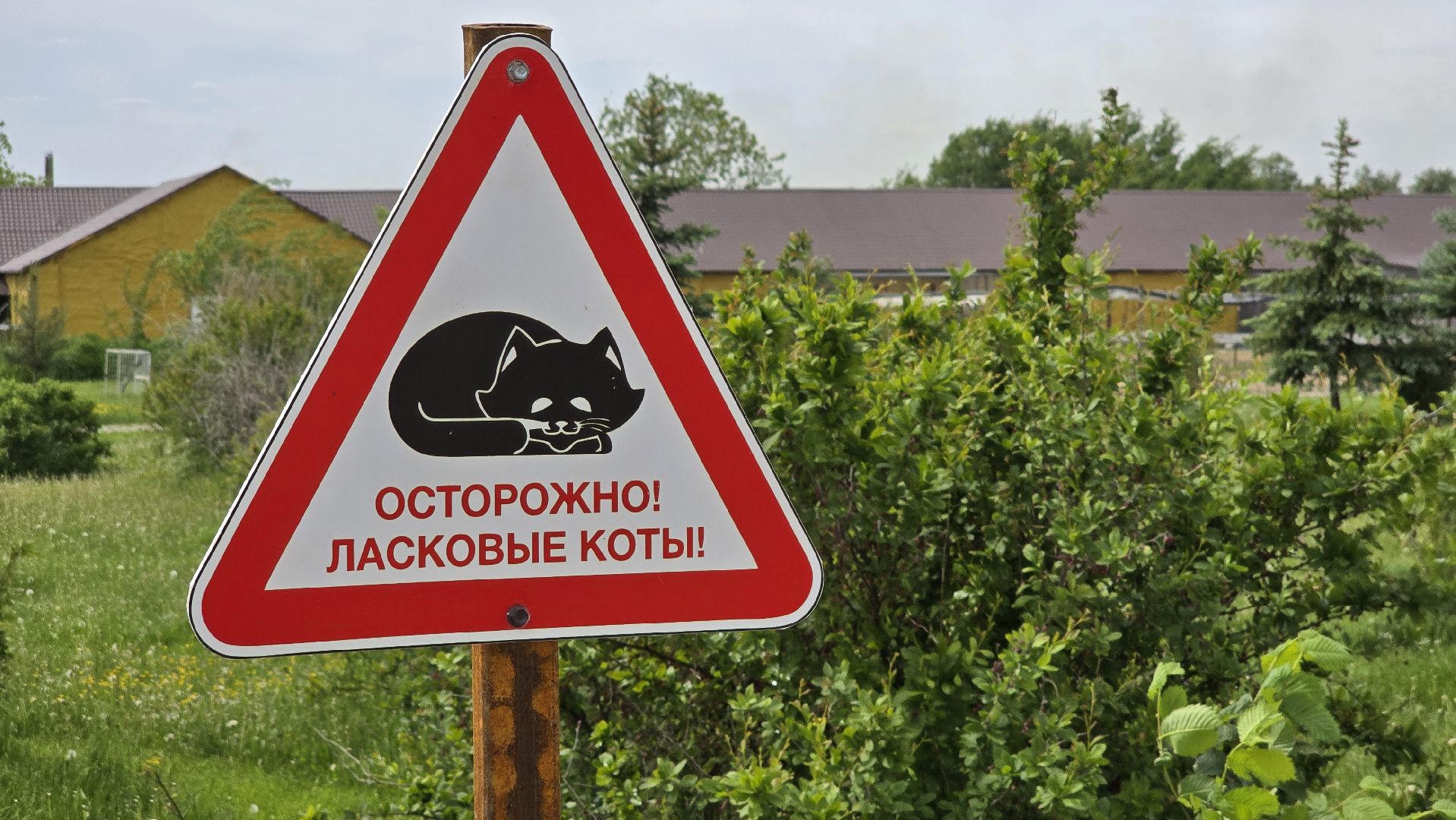 Коломна, экотуризм, крокодиловая ферма,экзотические животные,