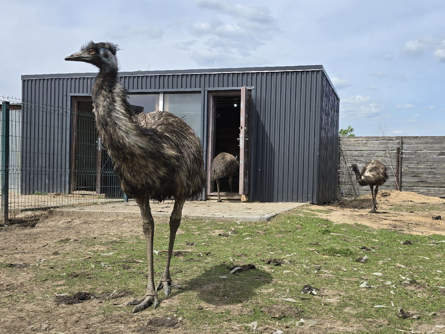 Коломна, экотуризм, крокодиловая ферма,экзотические животные,