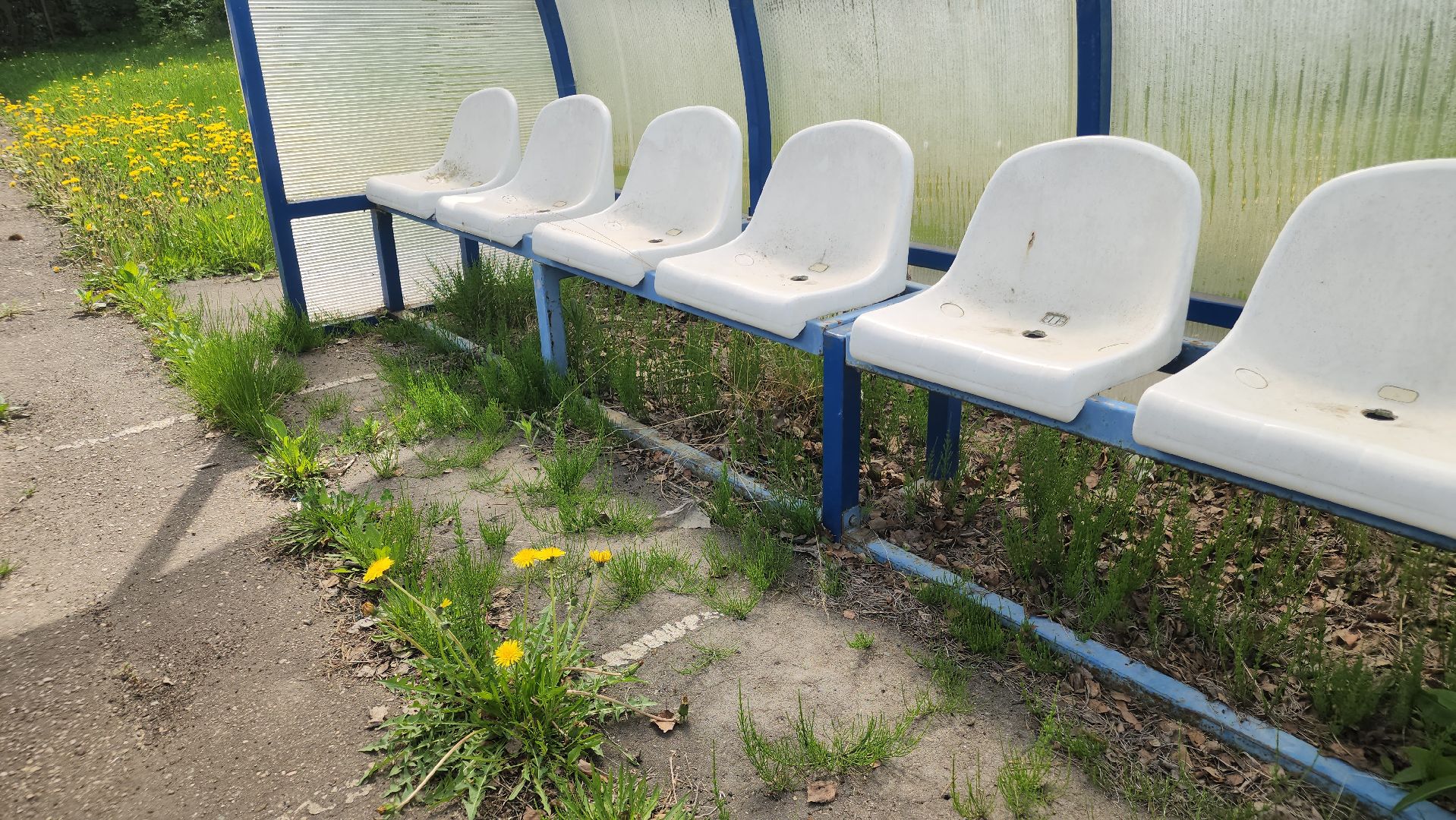 ремонт стадиона, ликино-дулево, орехово-зуевский техникум,