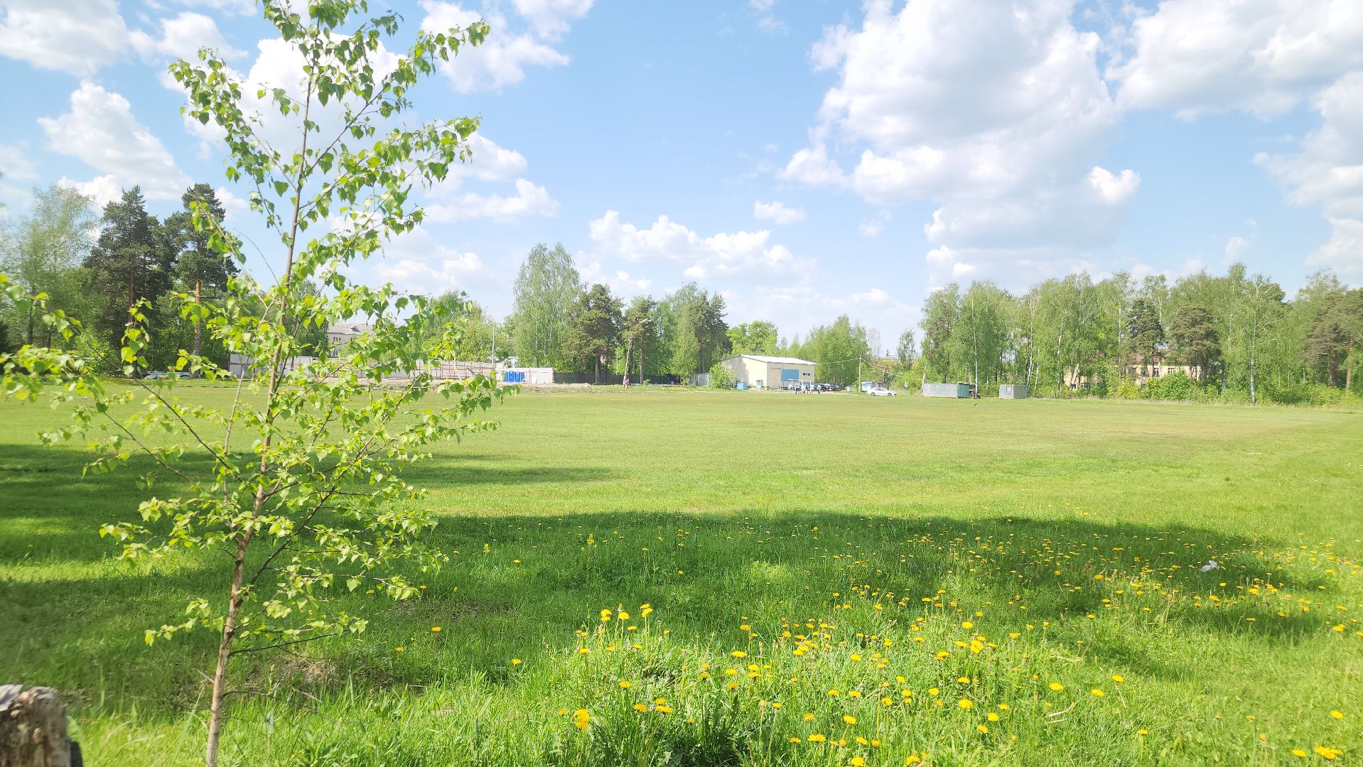 ремонт стадиона, ликино-дулево, орехово-зуевский техникум,