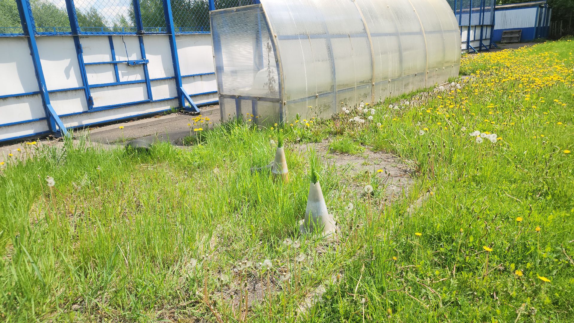 ремонт стадиона, ликино-дулево, орехово-зуевский техникум,