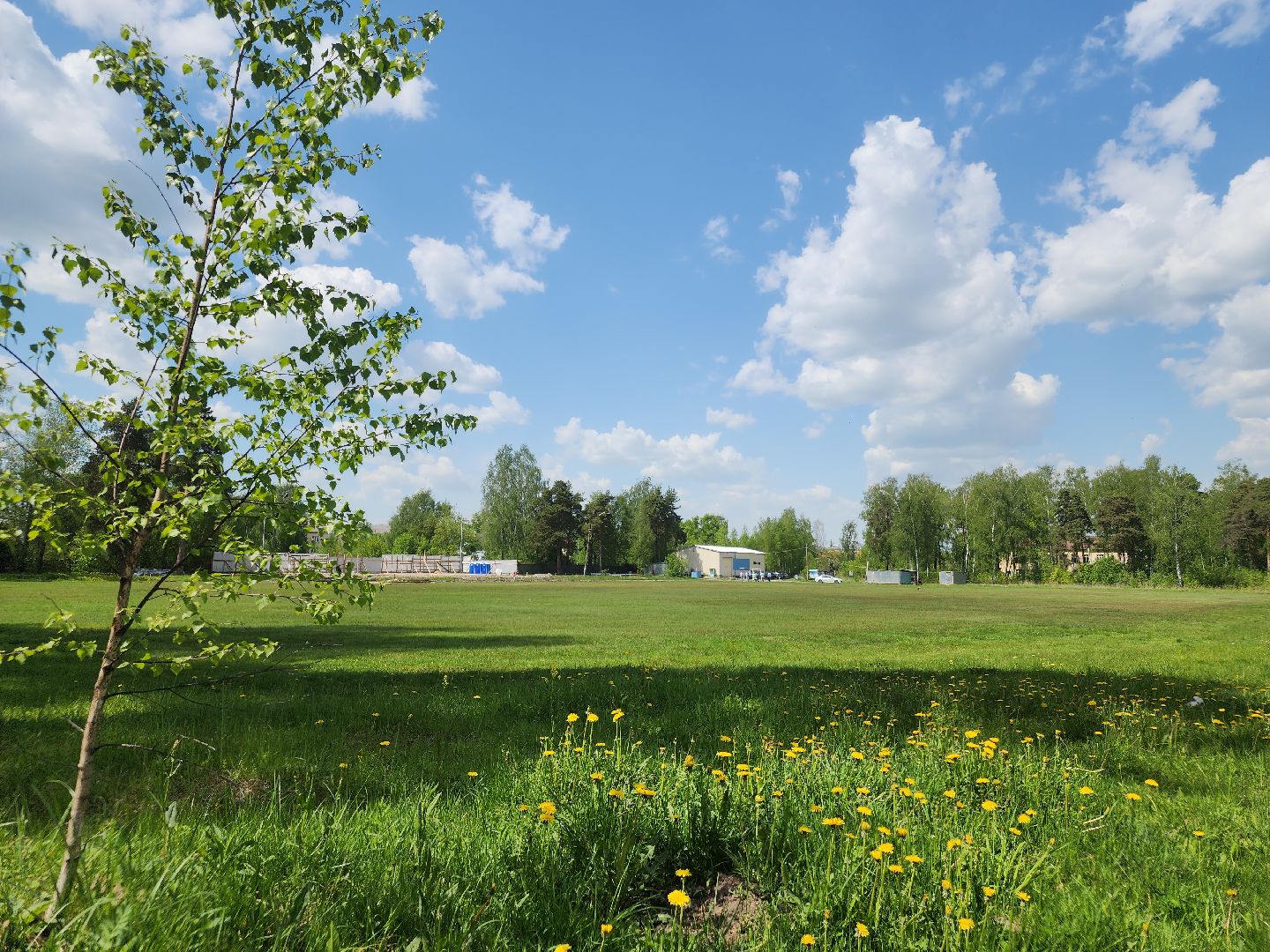 ремонт стадиона, ликино-дулево, орехово-зуевский техникум,