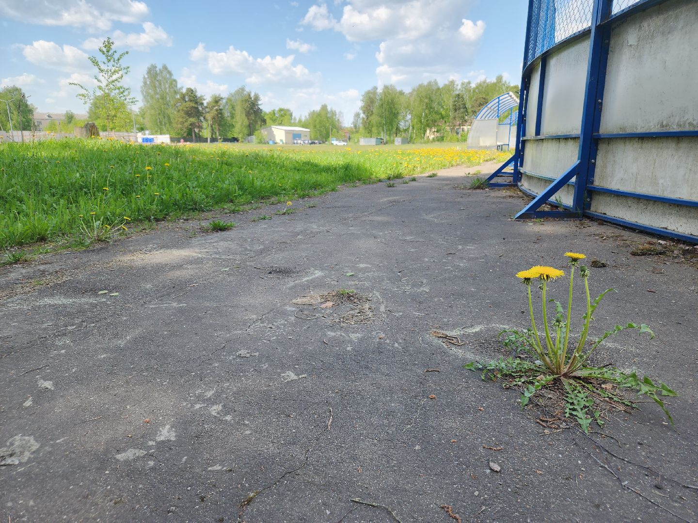 ремонт стадиона, ликино-дулево, орехово-зуевский техникум,