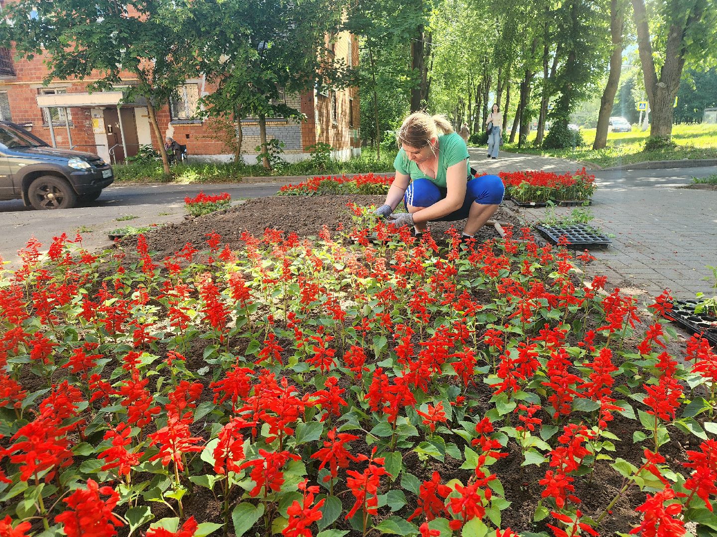 пущино, серпухов, благоустройство, клумбы,