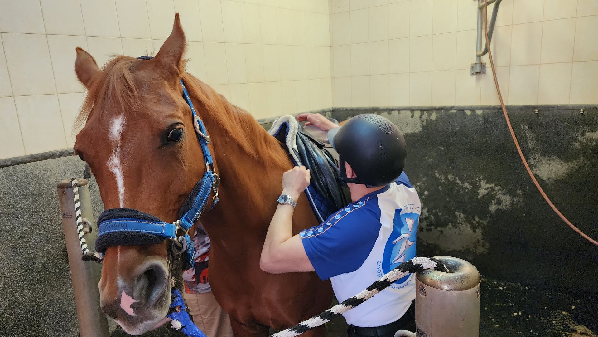 ветераны сво, истра, общество, спорт,