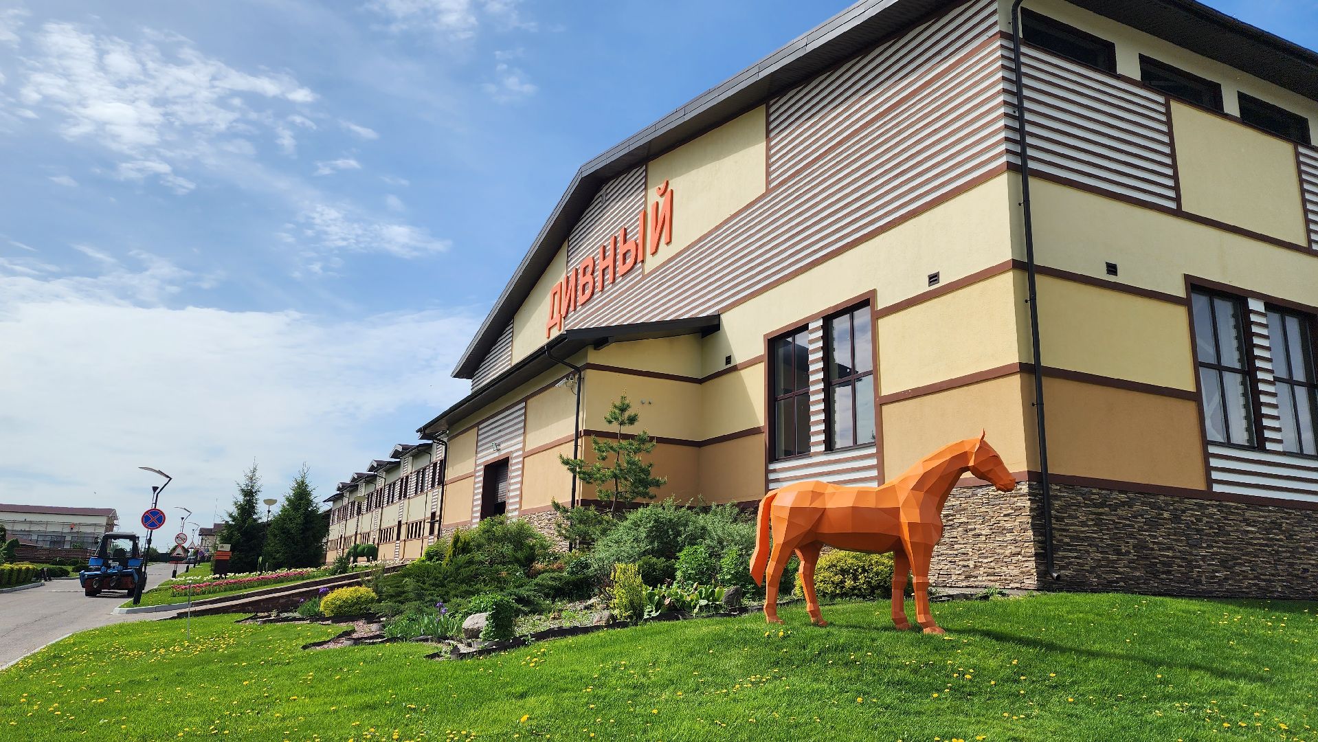 ветераны сво, истра, общество, спорт,