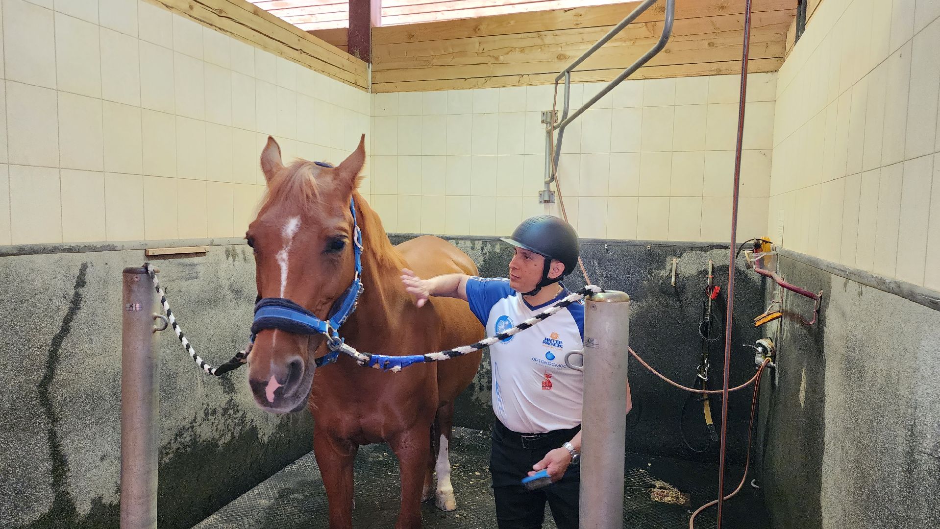 ветераны сво, истра, общество, спорт,