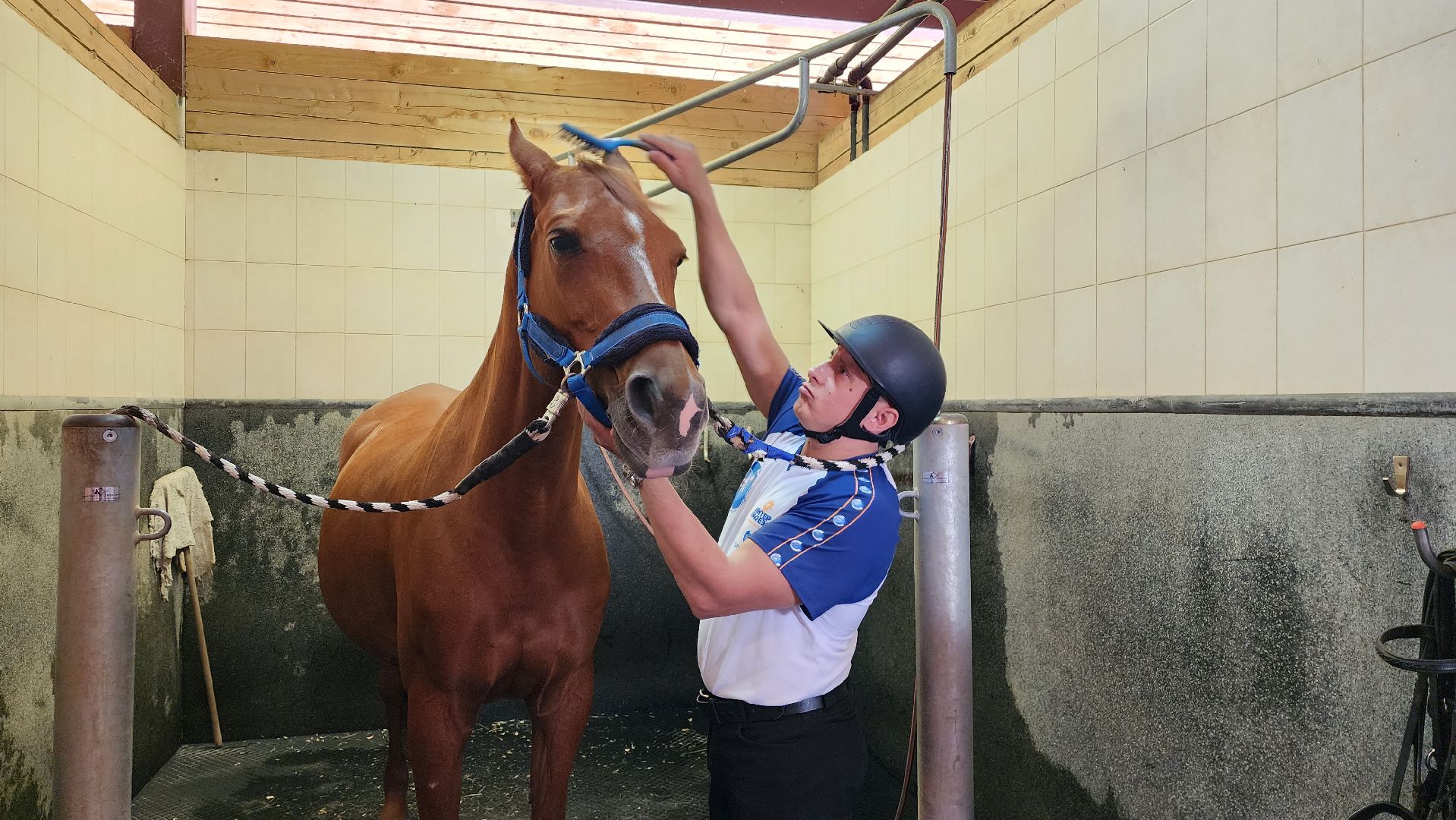 ветераны сво, истра, общество, спорт,