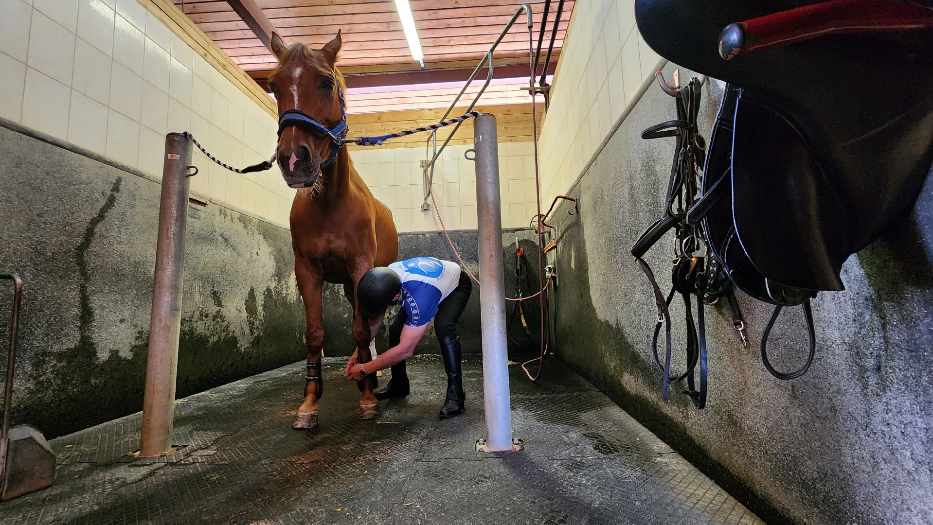 ветераны сво, истра, общество, спорт,