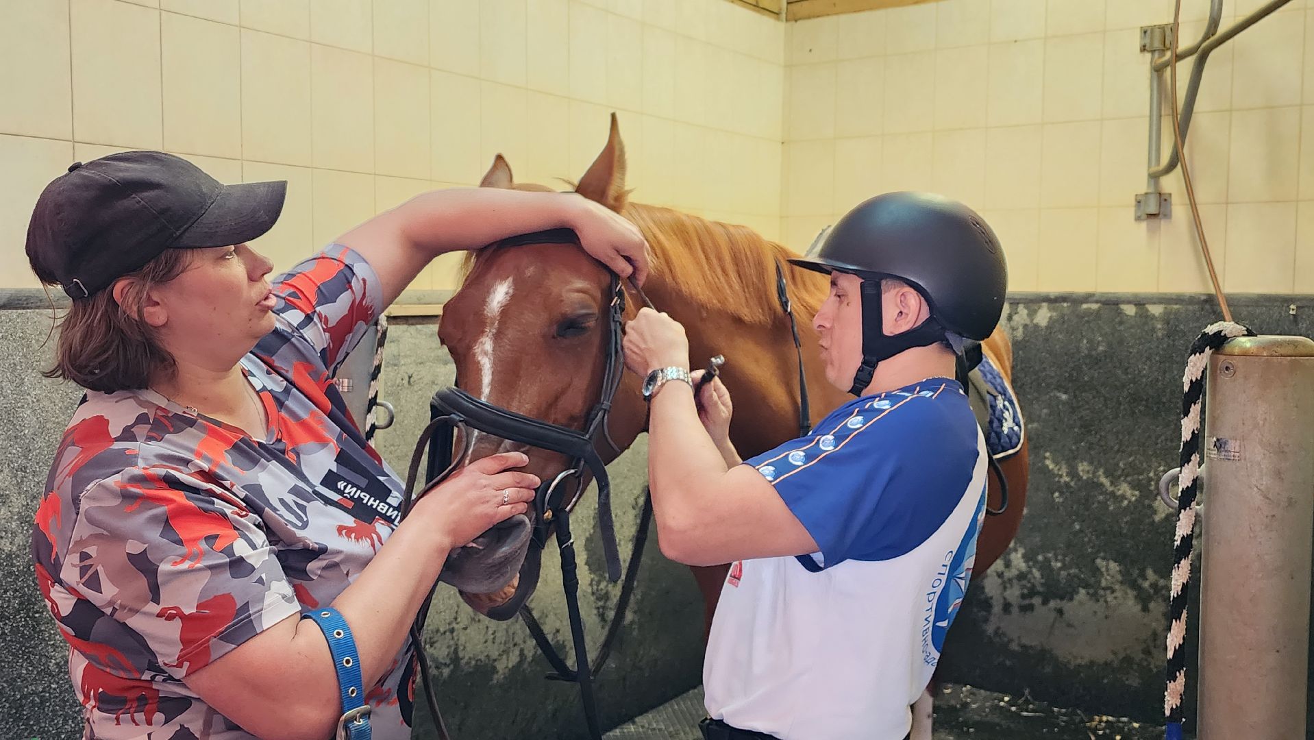 ветераны сво, истра, общество, спорт,