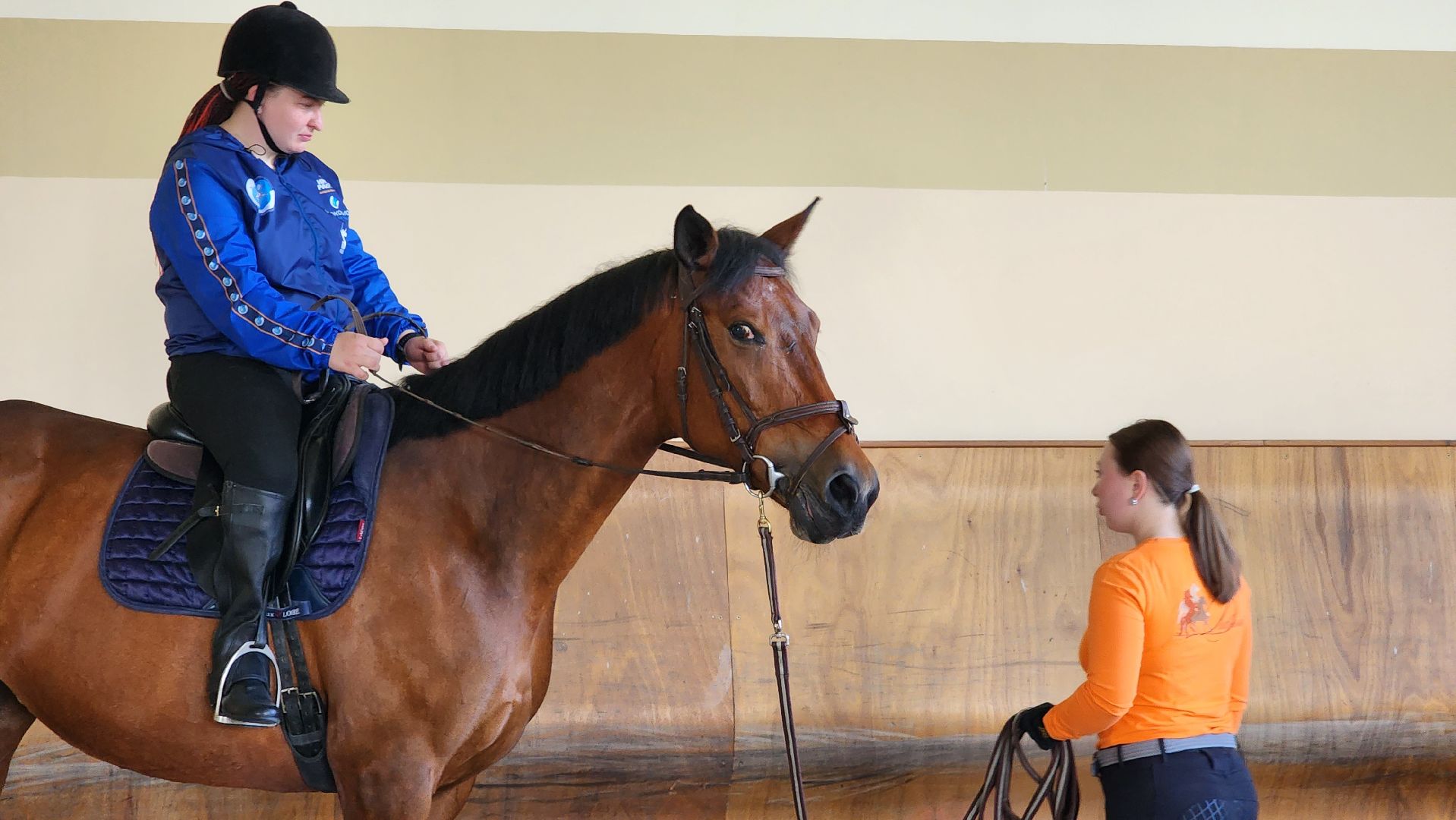 ветераны сво, истра, общество, спорт,