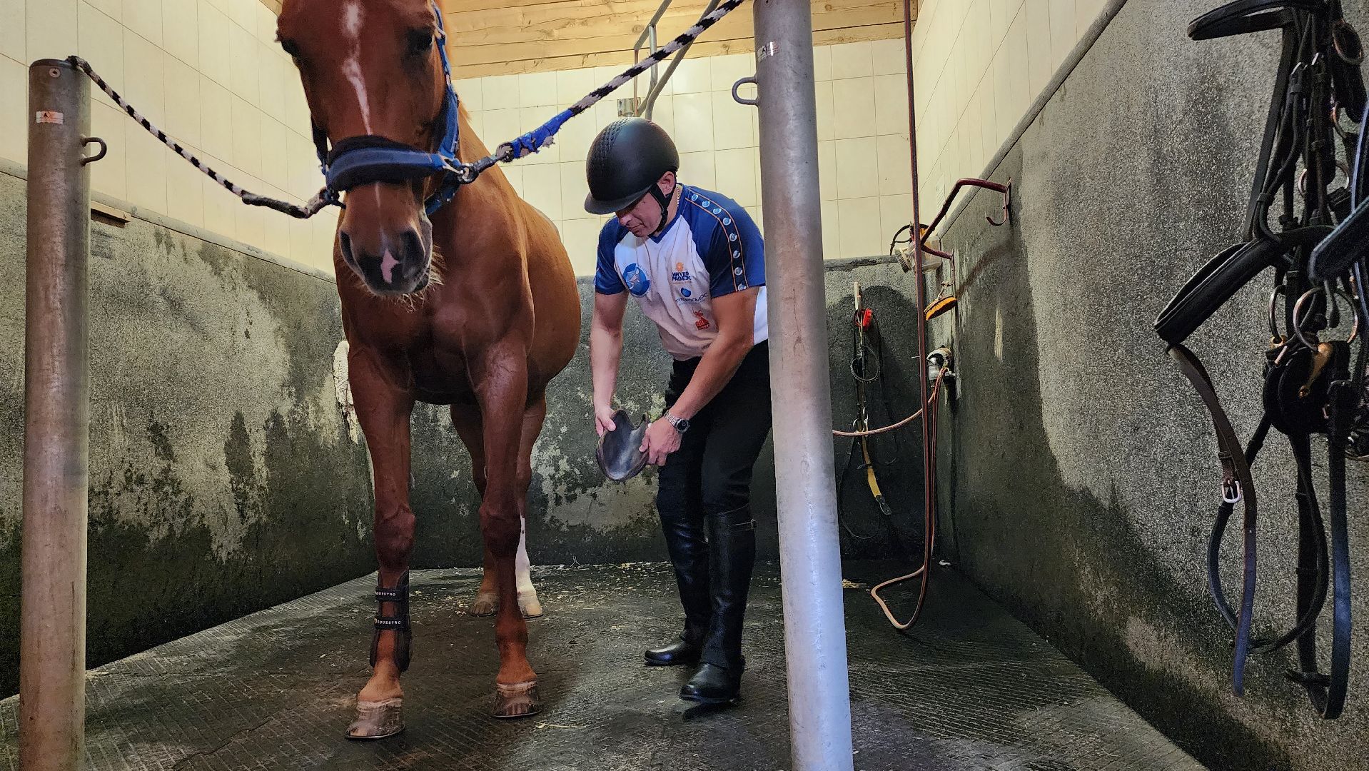 ветераны сво, истра, общество, спорт,